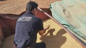 Subastan granos y herbicidas incautados: cómo participar
