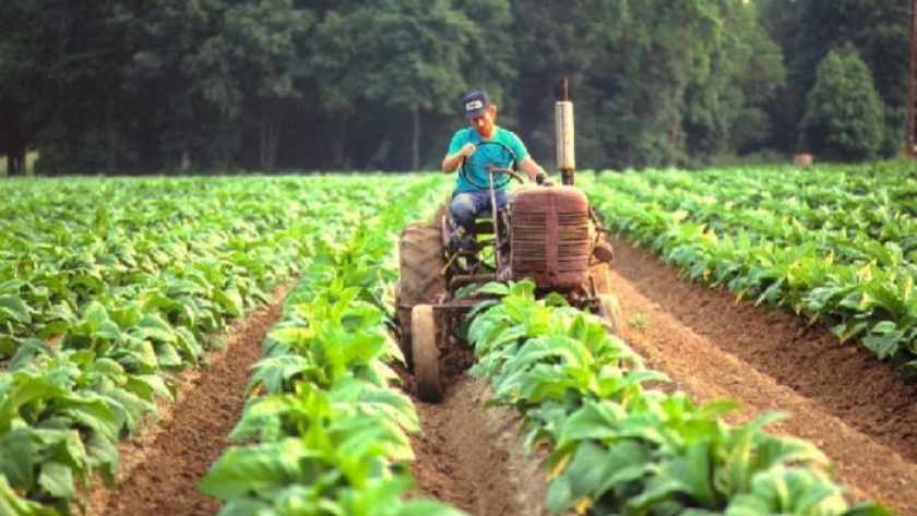 “Producir una hectárea aumentó más del 100%”