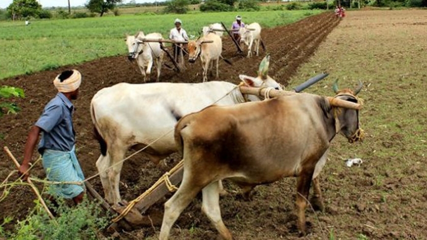 Crisis climática cuestiona mayoritario trabajo al aire libre de India