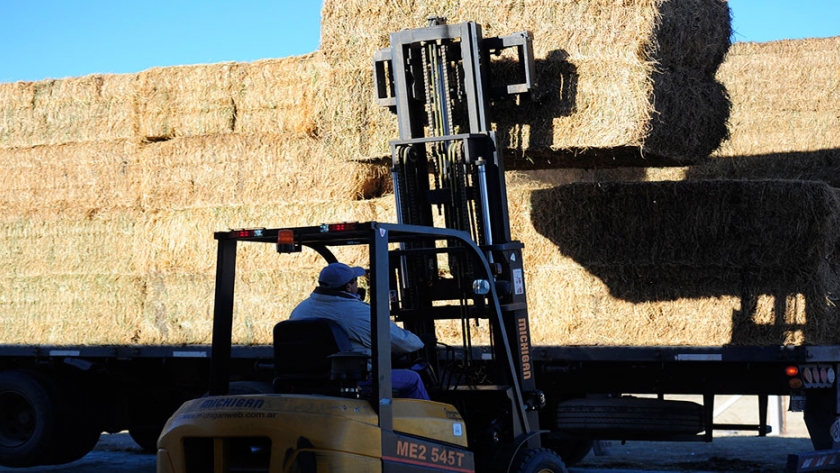 La máquina compactadora de alfalfa permite ahorrar hasta un 30% en el costo del flete