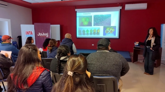 Jujuy impulsa el desarrollo de cuencas de frutas tropicales con foco en el maracuyá