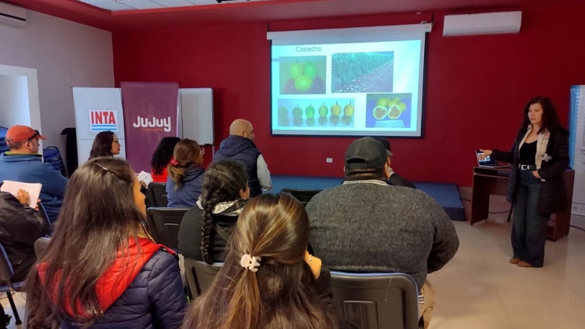 Jujuy impulsa el desarrollo de cuencas de frutas tropicales con foco en el maracuyá