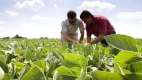 Un informe privado reflejó una nueva caída en los índices de confianza de los productores agropecuarios