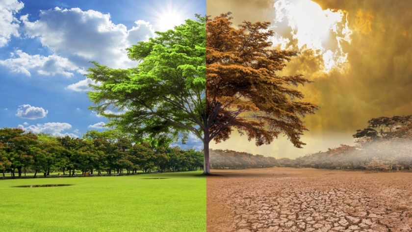 Buenos Aires avanza en la acción por el clima junto a ciudades de todo el mundo