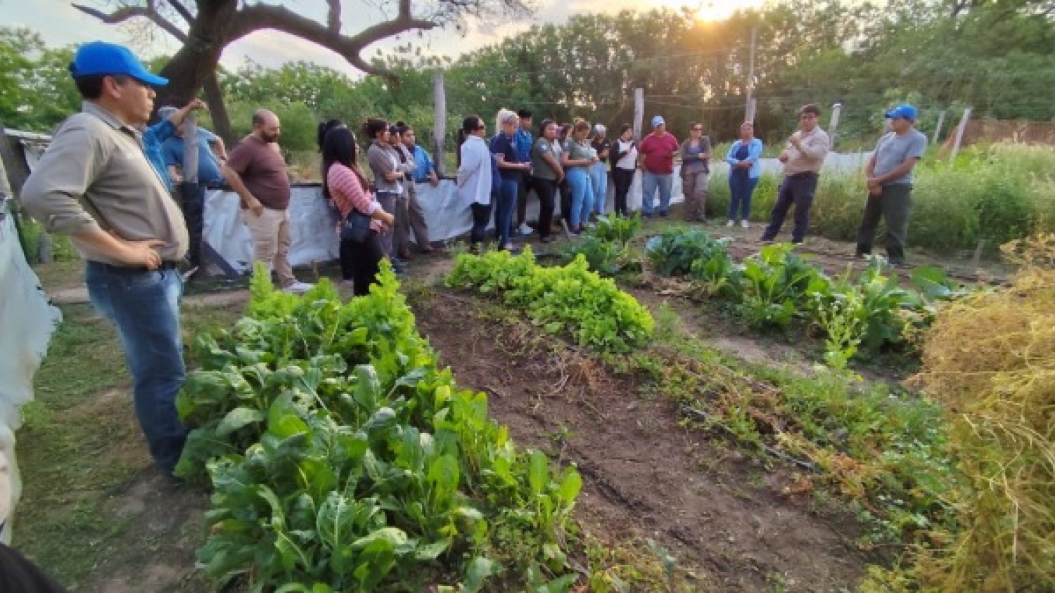 Capacitación en horticultura fortalece la formación técnica en Las Lomitas