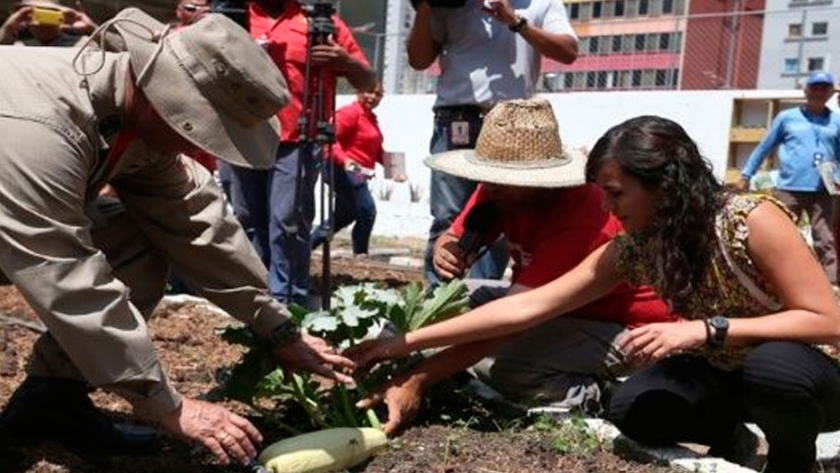 Gobierno venezolano instala consejo de agricultura urbana de la FAO