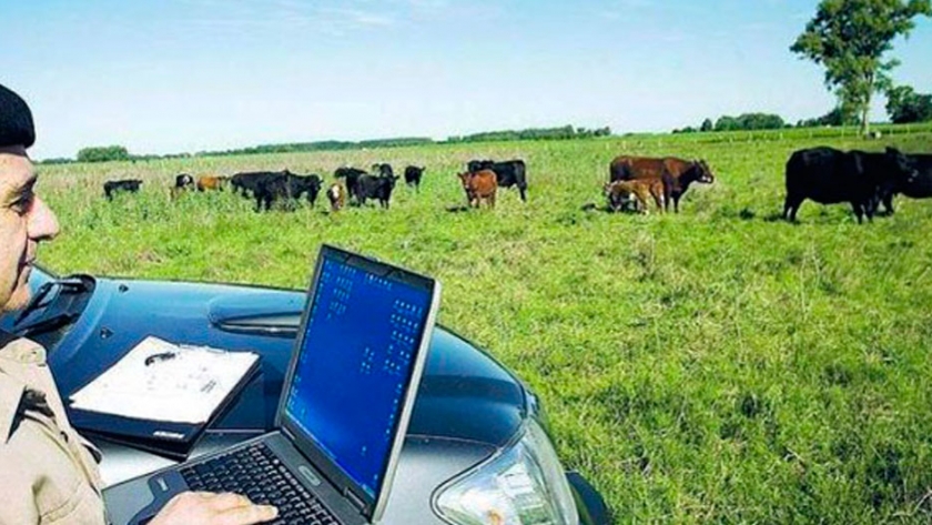 El Big Data se mete en el rodeo bovino para aumentar la eficiencia reproductiva
