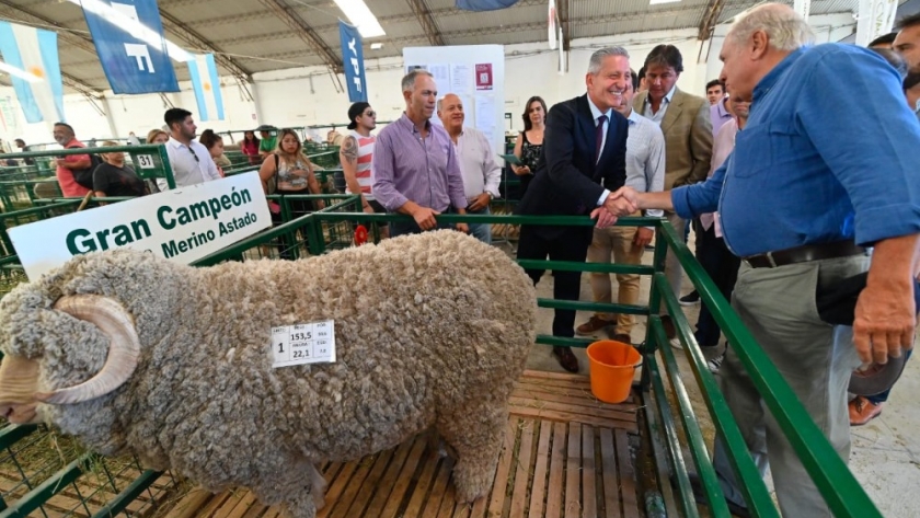 Ganadería: “Entra en vigencia una Ley que dará mayor visibilidad a una actividad económica genuina, fundacional y motor del desarrollo provincial”