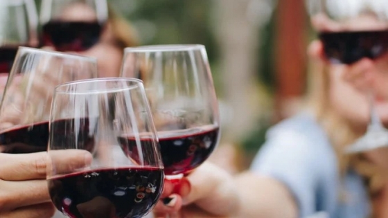 Vinos NOLO: la apuesta por el bajo y cero alcohol redefine el negocio vitivinícola en Argentina y Chile