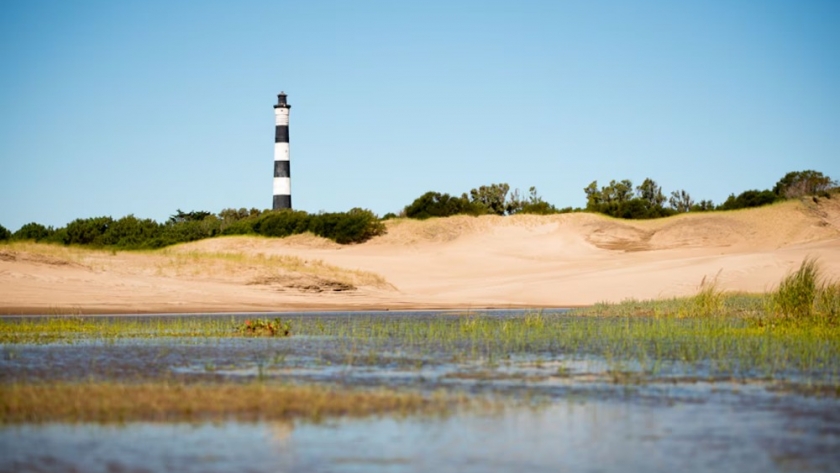 Reserva Faro Querandí: un refugio de biodiversidad entre mar y dunas