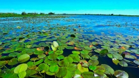 Los Esteros del Iberá, un Parque Nacional en el corazón de Corrientes