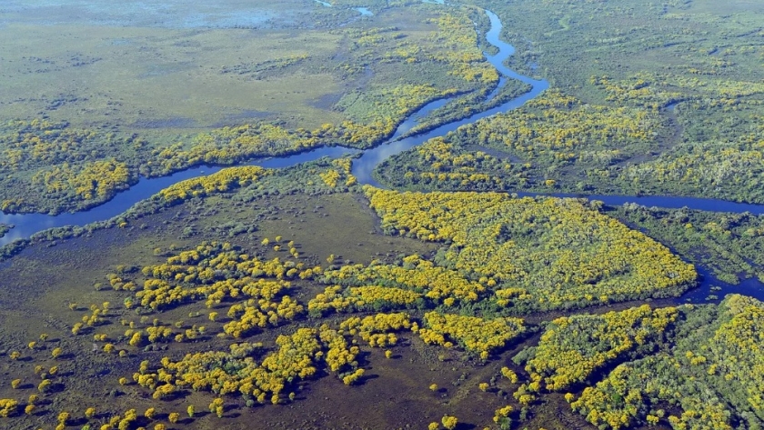 El Pantanal: hogar de la biodiversidad en el corazón de Sudamérica