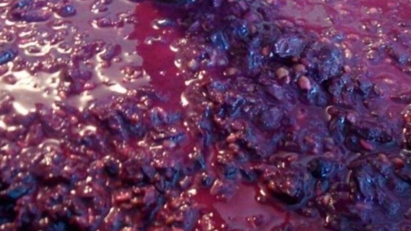 En 2020, el vino y el mosto empujaron el alza del 6,47% de las exportaciones mendocinas
