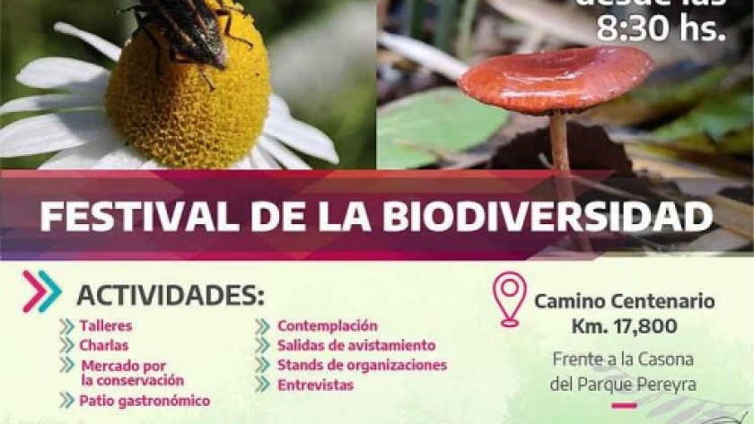 El MDA invita a conocer y explorar la naturaleza del Parque Pereyra Iraola