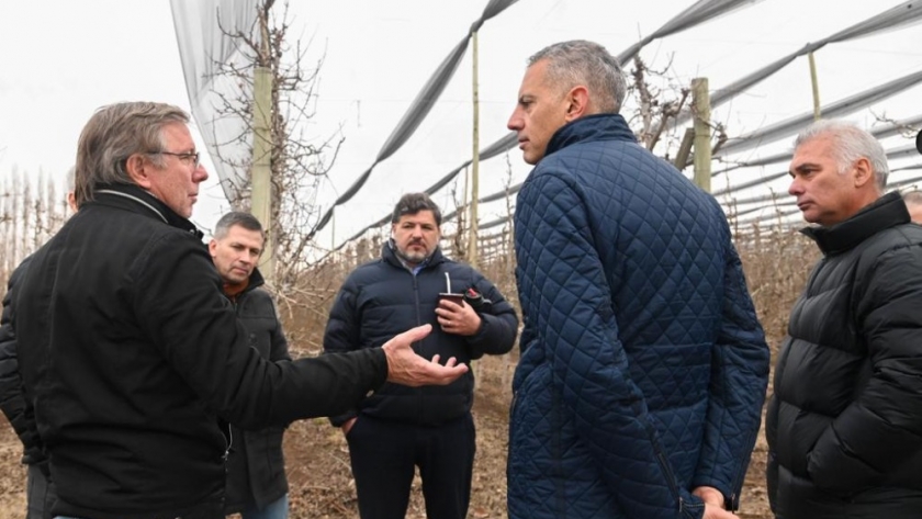 Provincia y Nación impulsan apoyo de $1.500 millones para la fruticultura