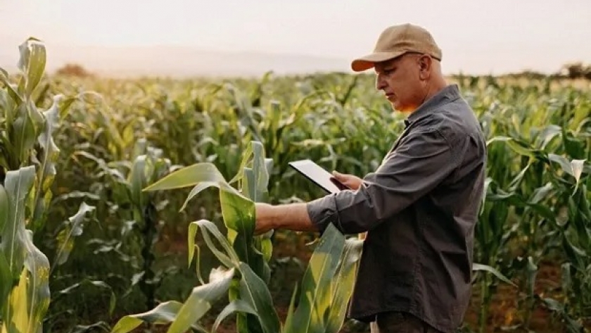 La inteligencia artificial en el agro alcanza un nivel de precisión que 