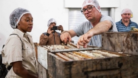 Técnicos de Portugal y Mozambique destacan el avance de la apicultura sustentable en el Chaco