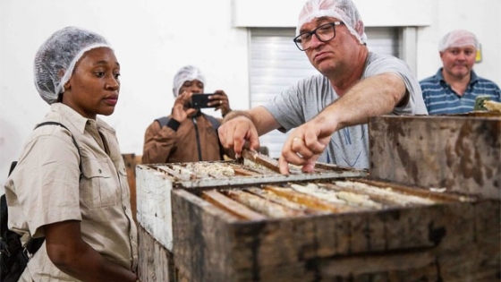 Técnicos de Portugal y Mozambique destacan el avance de la apicultura sustentable en el Chaco