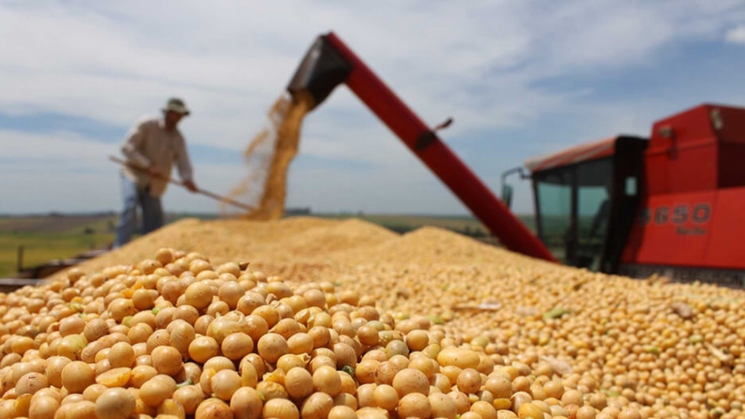 Gobierno aplicará sanciones a las aceiteras que incumplan con el abastecimiento de derivados de soya