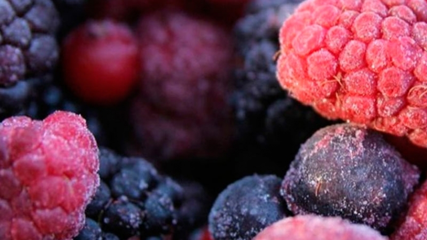 3 mitos de los alimentos congelados que no te debes creer