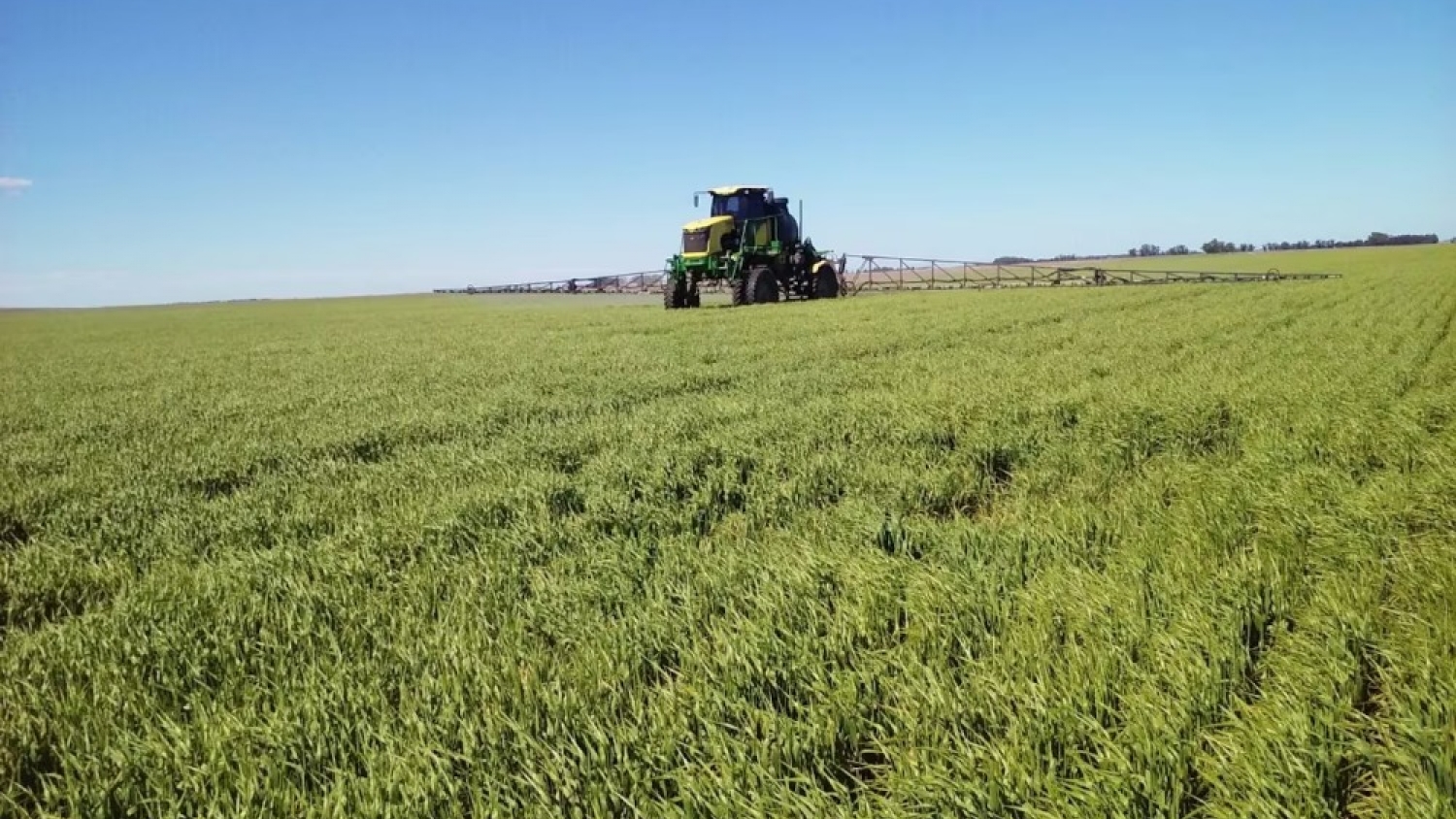 Fitosanitarios en Entre Ríos: el Superior Tribunal analiza la validez de la ley que regula las aplicaciones cerca de zonas pobladas