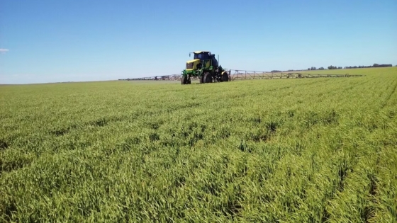 Fitosanitarios en Entre Ríos: el Superior Tribunal analiza la validez de la ley que regula las aplicaciones cerca de zonas pobladas