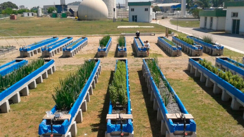 Utilizan mosto de cerveza y residuos de poda para depurar agua contaminada