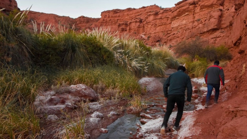 La gran atracción: reabre el Parque Provincial Ischigualasto