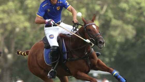 El caballo de Polo Argentino, una raza consolidada y en plena expansión