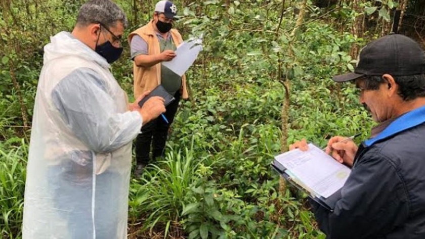 Capacitaron a agricultores indígenas en la producción de yerba mate