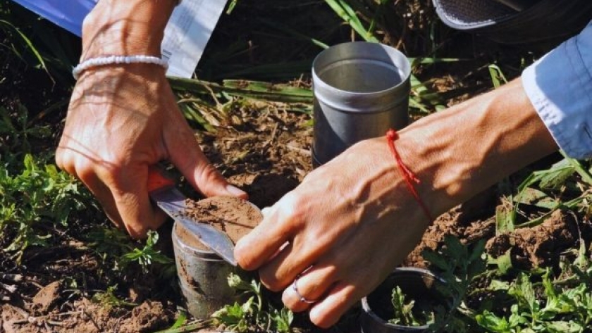 Estudio del INTA destaca la Importancia de las raíces en la recarbonización