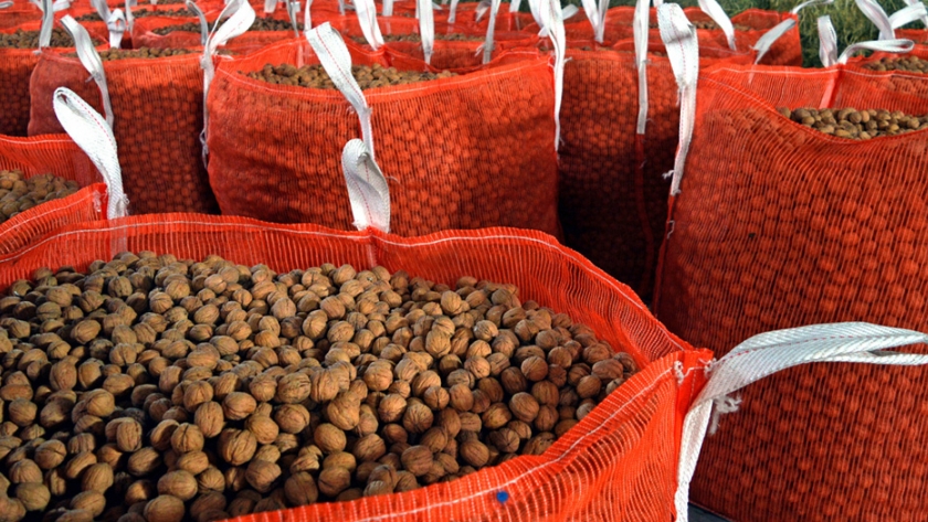 Calidad de frutos en poscosecha y almacenamiento