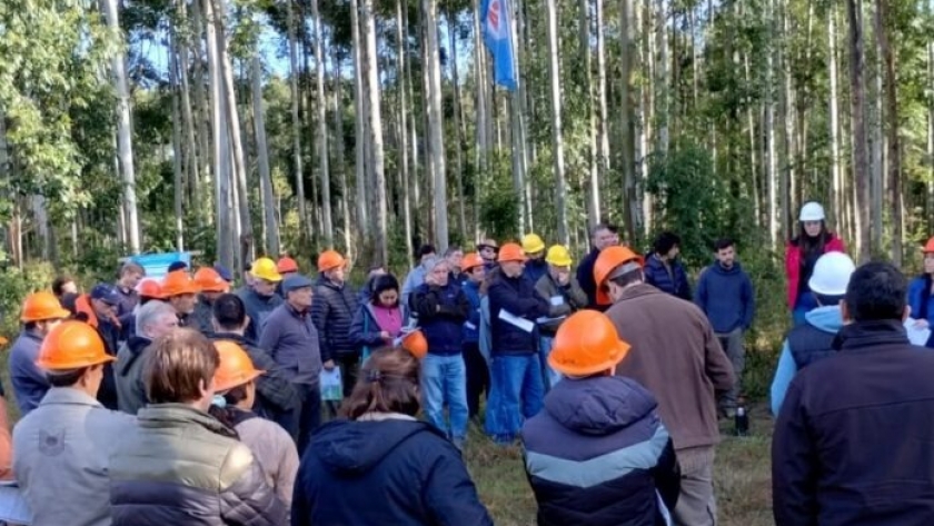 Entre Ríos - Con gran interés de productores, se realizó la jornada en INTA Concordia sobre innovaciones en manejo de rebrotes de eucaliptos