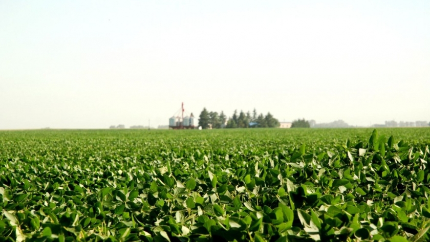 Entidades de Argentina y Paraguay firman acuerdo para promover la comercialización de soja libre de deforestación