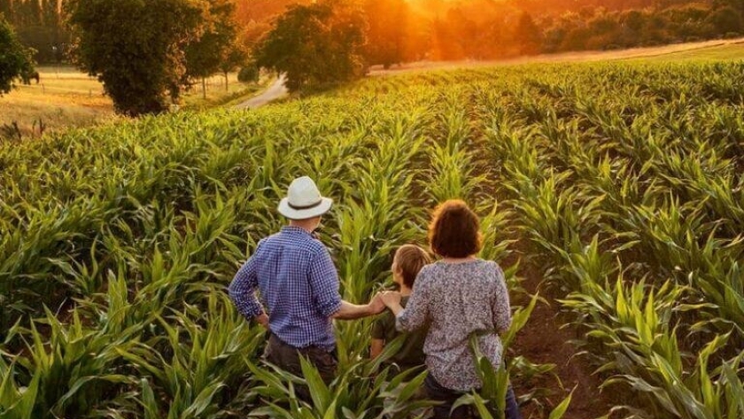 A tale of two lands: contrasting cultures in farming in Argentina and Australia