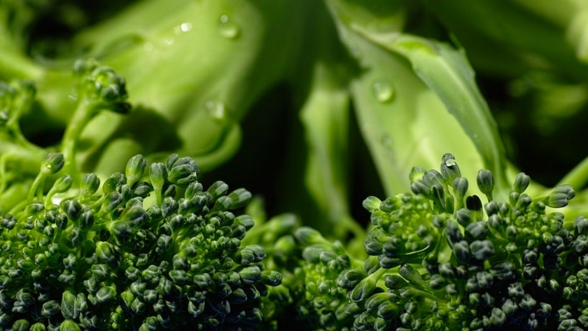 Larga vida al brócoli