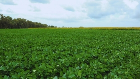 El agro se prepara para una campaña récord impulsada por el fenómeno El Niño