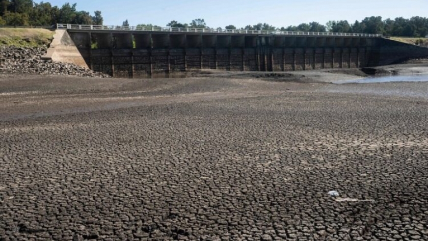 Uruguay decreta emergencia hídrica para Montevideo y la sociedad pone en la mira a las mega industrias forestales ante los posibles impact