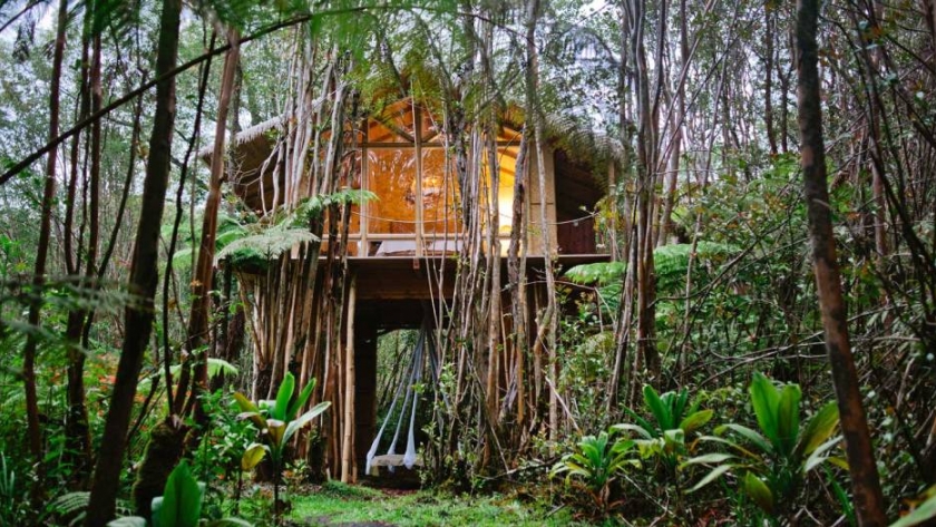Una casa del árbol en medio de un bosque hawaiano, una de las más deseadas del mundo