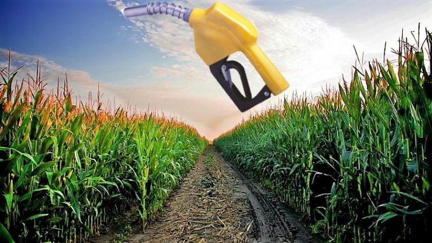 La producción de biodiesel cayó 90,1% y la de bioetanol 18,1% en el 4° trimestre de 2020