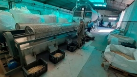 Siguen las inversiones en el cultivo y proceso de pistacho