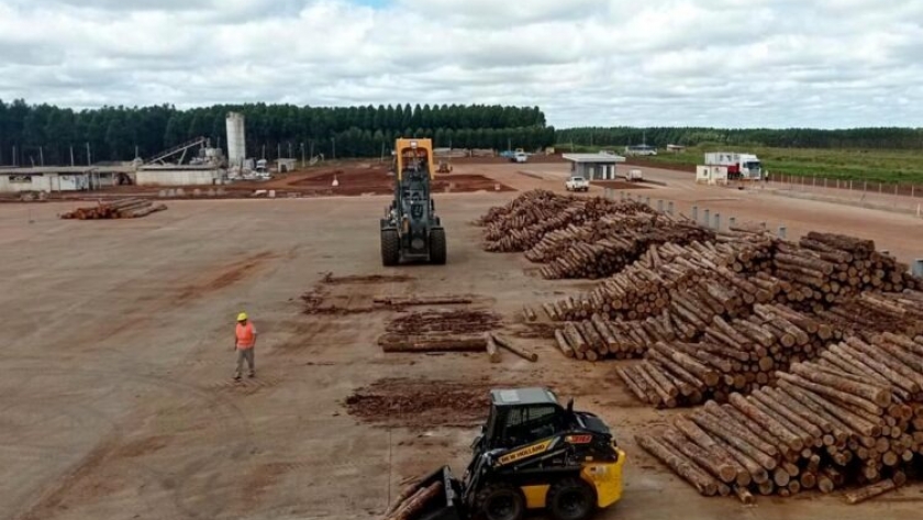 Estudiantes de Ingeniería Forestal de la UNaM visitaron el nuevo y moderno mega aserradero de Acon Timber próximo a inaugurarse