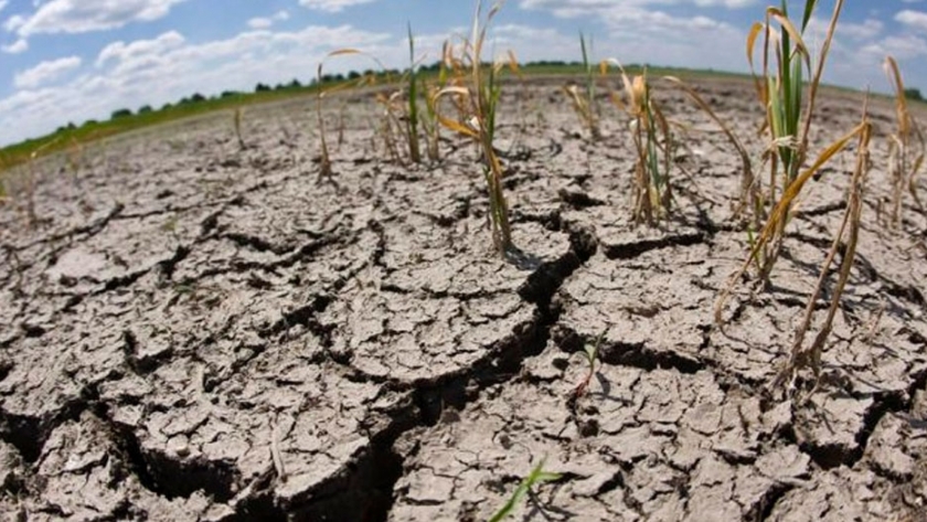 Un verano con pocas lluvias y altas temperaturas