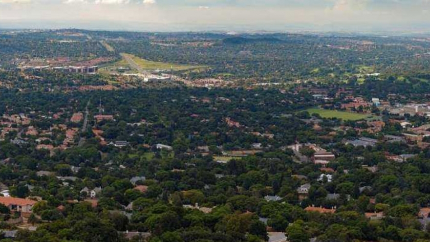 Los árboles en sudáfrica están bajo ataque, y está resultando difícil de manejar