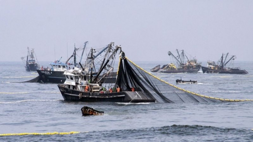 El Mar Argentino, víctima nuevamente del extractivismo pesquero