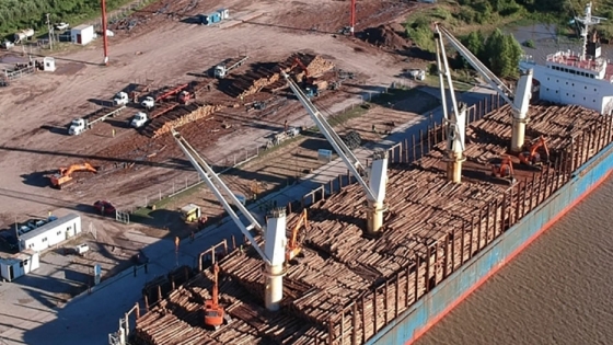 Casi 200.000 toneladas de madera partieron desde el puerto de Ibicuy en 2020
