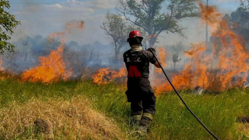 Bolivia envió brigadistas para combatir los incendios en Corrientes