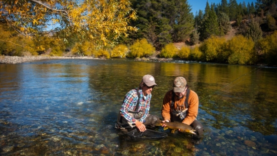 Turismo en Junín de los Andes: pesca deportiva y ganadería