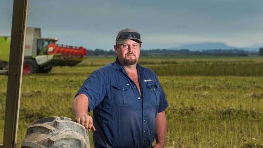 Los cultivos de cáñamo pueden llenar los vacíos de la amapola en Tasmania