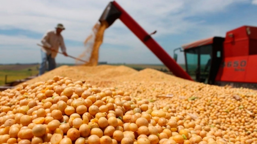 Agroexportadores registraron récord de liquidación de divisas en septiembre